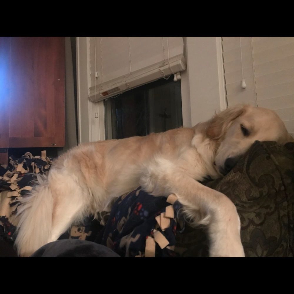 Meet your Posher, Maryssa